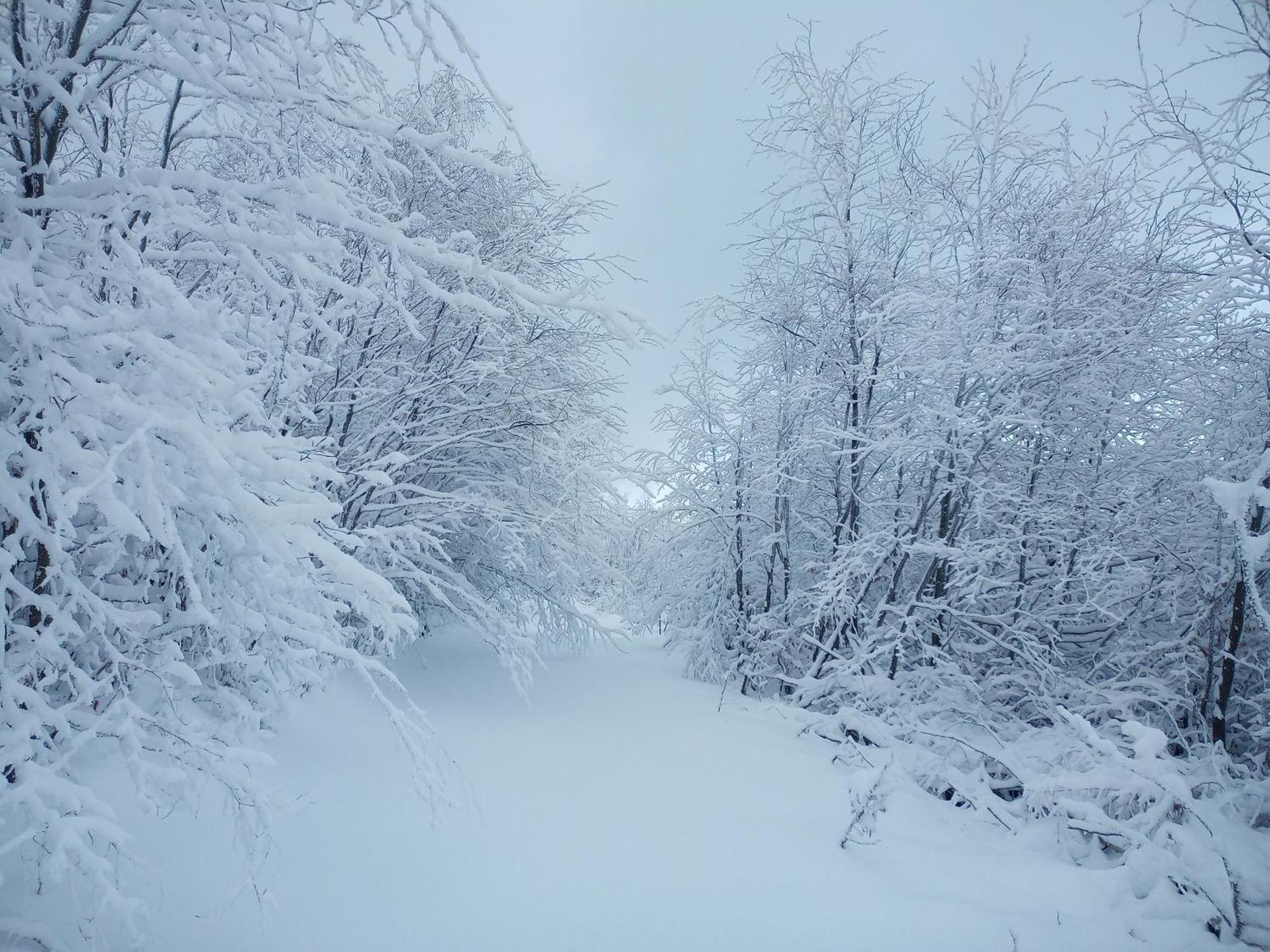 Appartamento Sowiogorska Ostoja Jugów Esterno foto