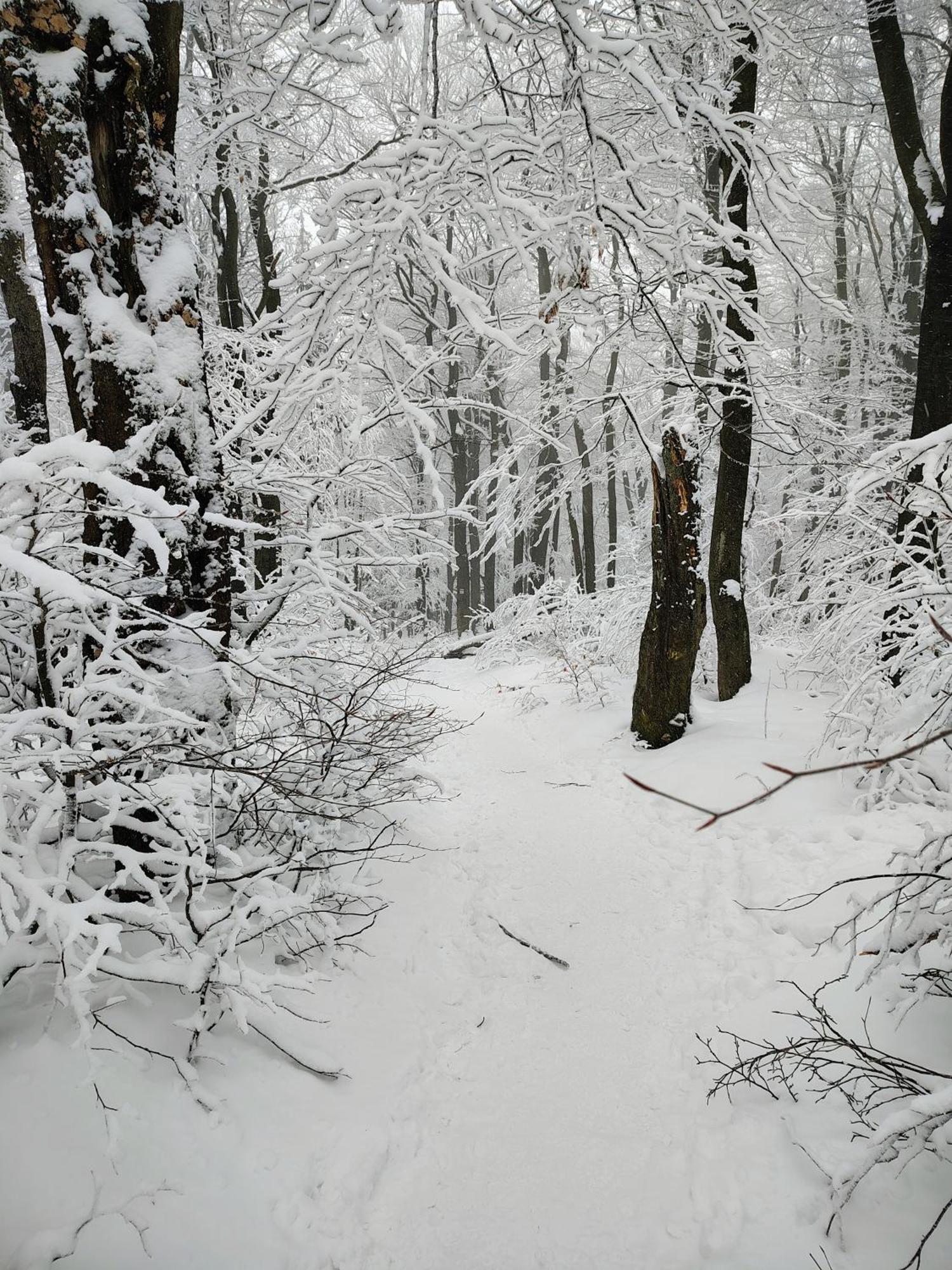 Appartamento Sowiogorska Ostoja Jugów Esterno foto