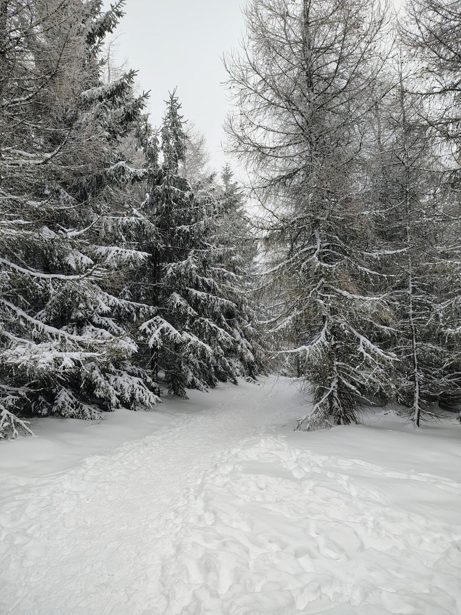 Appartamento Sowiogorska Ostoja Jugów Esterno foto